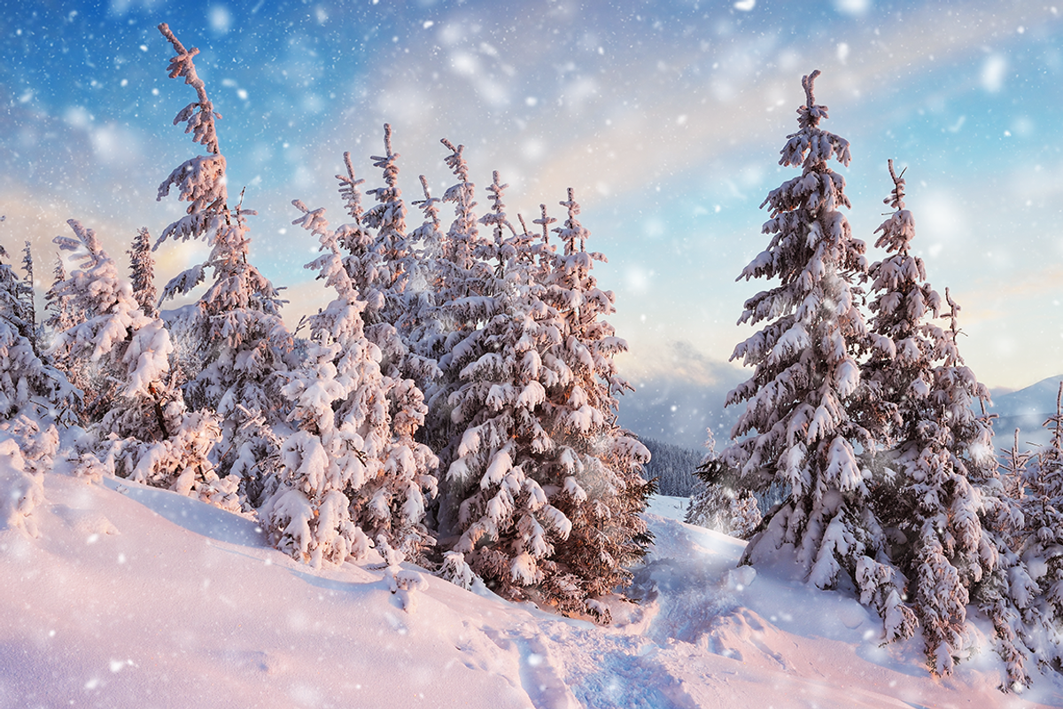 Snow Photoshop Action, an Action Add-On by LUXDesignStudios (Photo 6 of 7)
