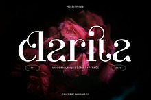 Clarita | Modern Unique Serif