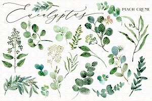 Eucalyptus // Watercolor Set