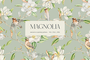 Magnolia - WatercolorCollection