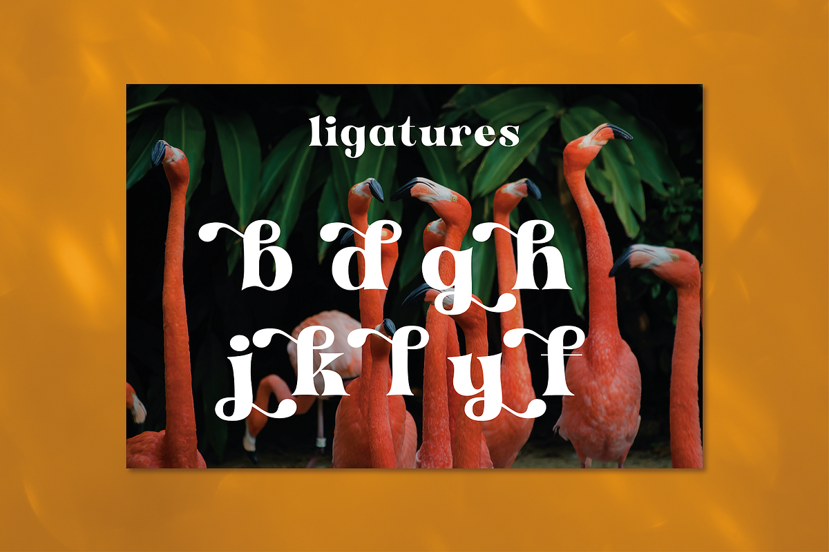 Antigua - Tropical Display, a Serif Font by HipFonts (Photo 3 of 11)