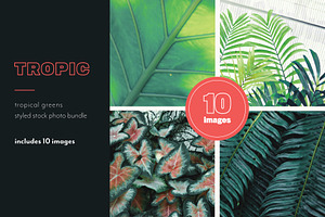 Tropic | Tropical Green Photo Bundle