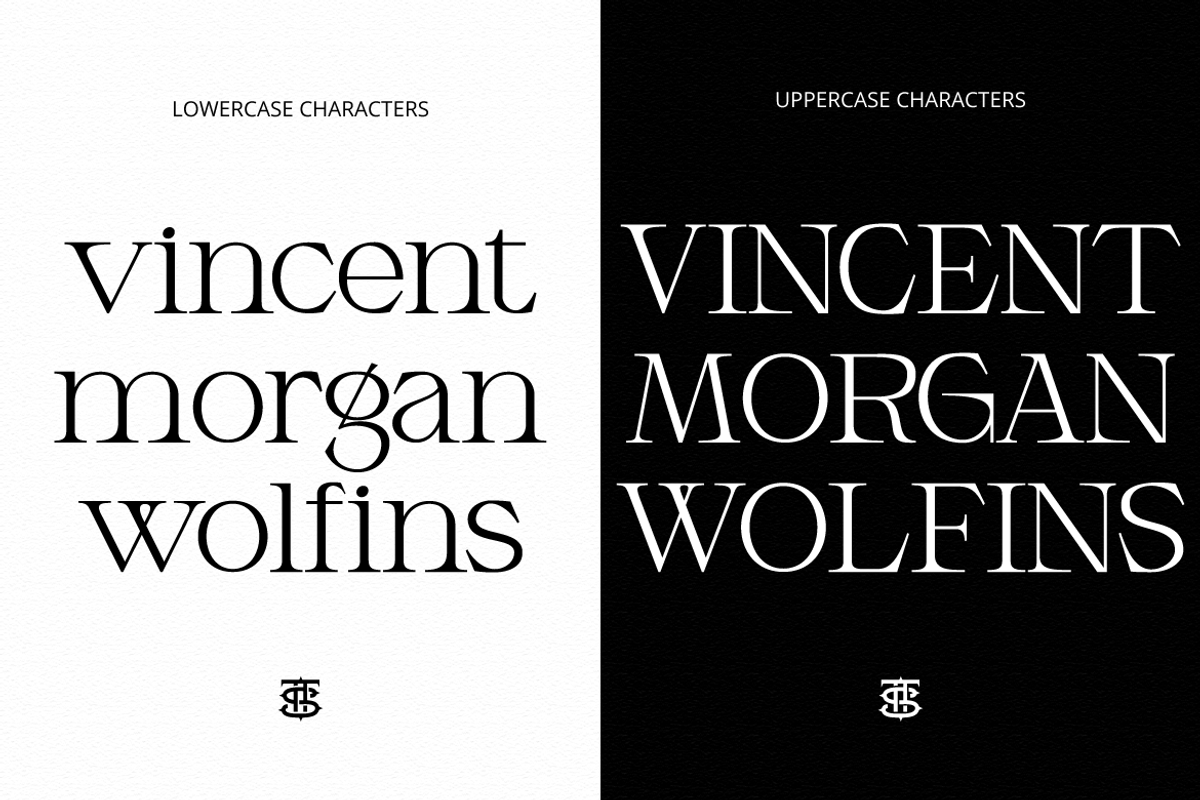 Armeston - Modern Serif, a Serif Font by tebaltipislab (Photo 10 of 15)