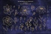 Floral Elements. Seamless Patterns., a Decorative Illustration by Diana Kovach (Thumbnail 3 of 18)