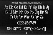 Yordic - Modern Serif Display, a Serif Font by Bentype Studio (Thumbnail 6 of 7)