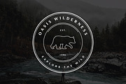 40 Stamp Logos, a Branding & Logo Template by ChicGraphix (Thumbnail 11 of 13)