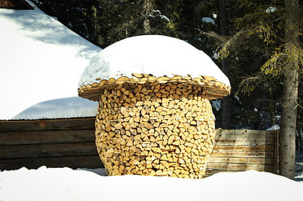 A pile of firewood in the form of a mushroom outdoor, a Nature Photo by AtlasStudio PRO