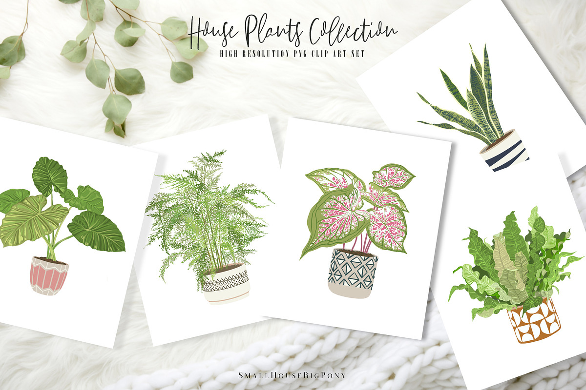House Plants Collection Set II, a Graphic by SmallHouseBigPony (Photo 6 of 21)