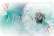 FONT BUNDLE - SHOP BUNDLE, a Script Font by Face Lab (Thumbnail 6 of 18)