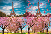 5K Petals Overlays, an Object Graphic by ArtPlanet (Thumbnail 9 of 12)