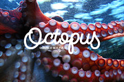 Courtney, a Script Font by NREY (Thumbnail 6 of 9)