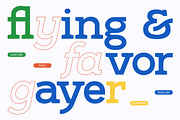 Rotter Damn Slab Serif Display, a Slab Serif Font by timelesstype.co (Thumbnail 7 of 15)