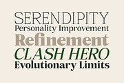 Mount Sagilite – Modern Serif Family, a Serif Font by Afkari Studio (Thumbnail 12 of 12)