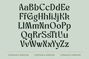 Bottarie Freestyle Display Font, a Serif Font by timelesstype.co (Thumbnail 18 of 20)