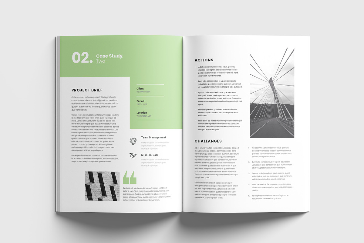 Case Study Template, Brochure, a Brochure Template by Niofix (Photo 2 of 6)