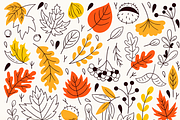 Autumn Clipart Illustrations, a Seasonal Illustration by Anna Studio (Thumbnail 9 of 11)