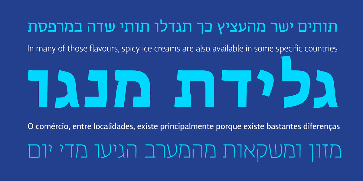 Lisboa Sans Hebrew, a Sans Serif Font by Vanarchiv (Photo 5 of 7)