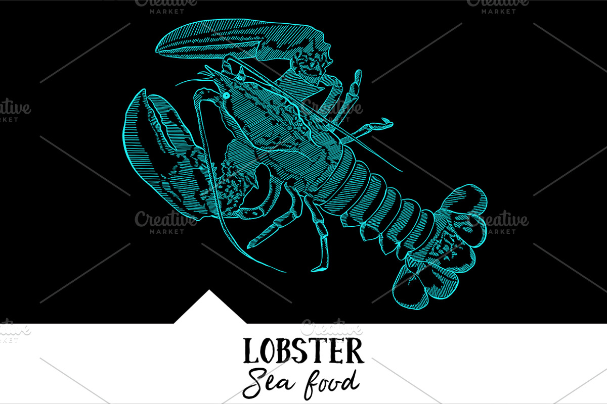 10 vector hand-drawn sea creatures, a Brochure Template by RichmanStudio (Photo 5 of 11)