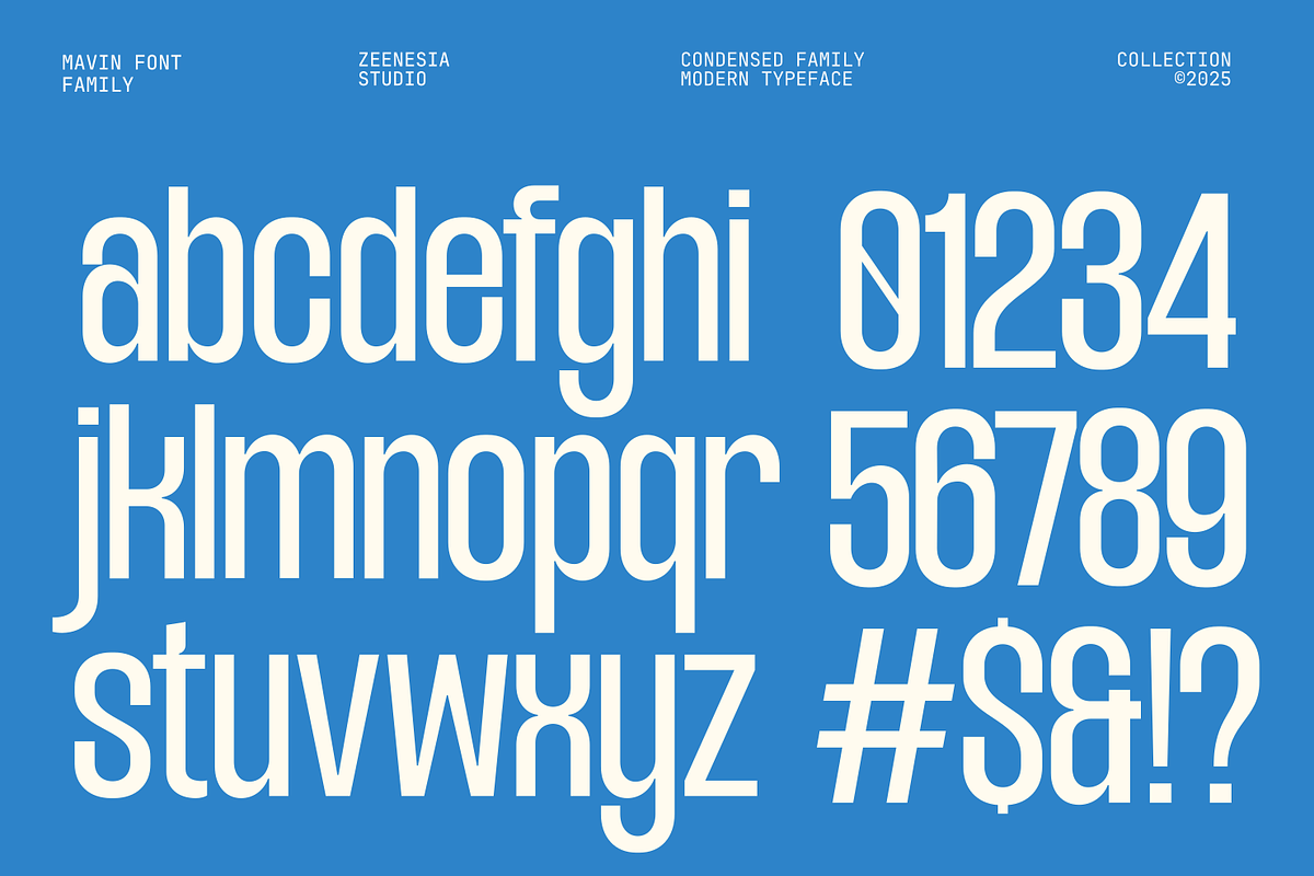 Mavine, a Sans Serif Font by zeenesia (Photo 17 of 17)