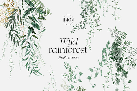 Wild Rainforest – Fragile Greenery, an Illustration by SunnyAfternoons