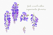 Magic wisteria vector patterns set, a Pattern Graphic by FleurArt (Thumbnail 4 of 10)