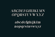 Business Elegance Luxury Serif Font, a Serif Font by UICreative (Thumbnail 12 of 13)