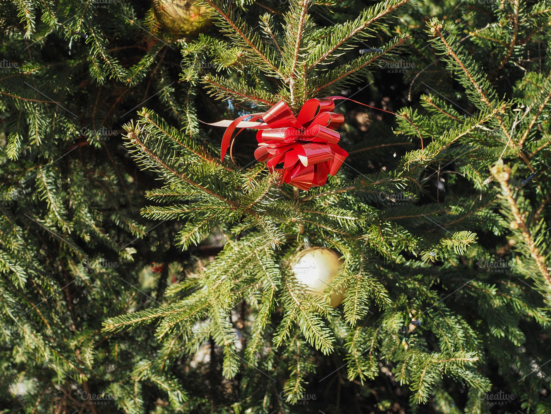 christmas tree with bauble, a Photo by WorldOfPhotos