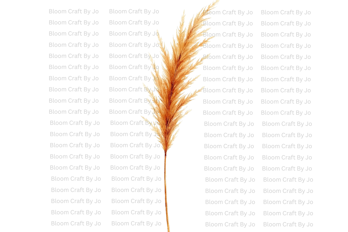 Dried Pampas Grass, a Decorative Illustration by Bloom Craft Creations (Photo 3 of 10)