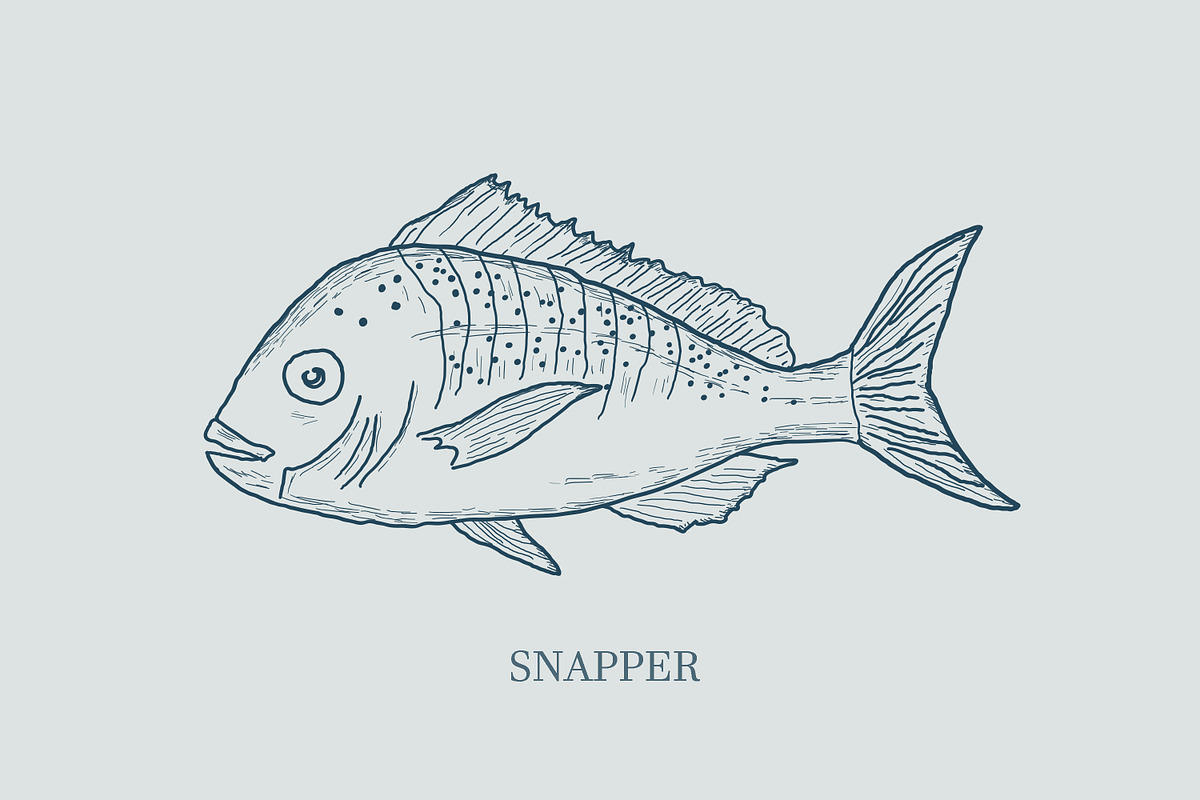 Hand drawn vectors of saltwater fish, an Animal Illustration by Naty Art (Photo 5 of 11)