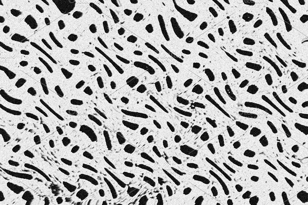 Scales and Fur, a Texture Graphic by Jennifer Lauren Creative (Photo 25 of 26)