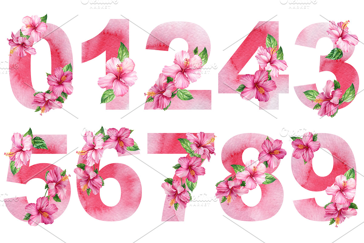 Watercolor tropical hibiscus flowers, an Object Illustration by Hanna Hryharenka (Photo 10 of 18)