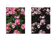 Modern Moody Photoshop Actions, an Action Add-On by Foto Rx Co. (Thumbnail 5 of 9)
