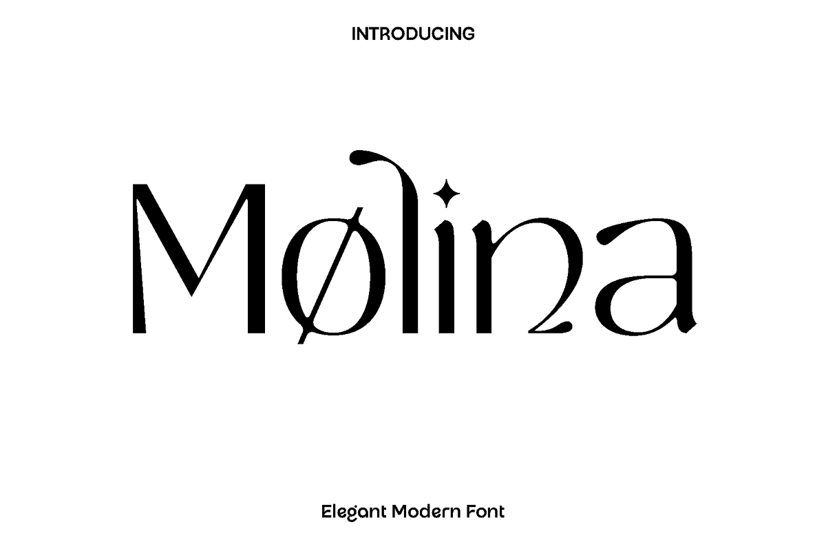 Molina Elegant Sans Serif, a Sans Serif Font by Luna Shop (Photo 1 of 11)