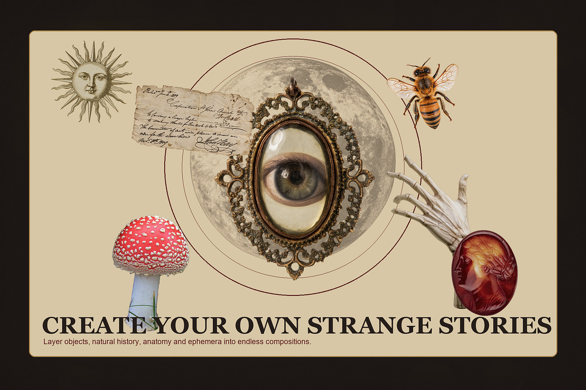 Curious Cabinet Collage Kit, an Object Graphic by Le.nart (Photo 14 of 15)