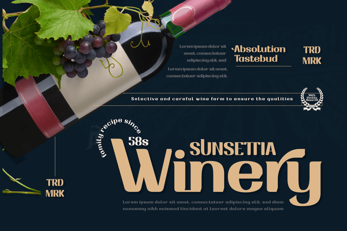 Drafbink | Serif Classic Modernism, a Serif Font by twinstd (Photo 5 of 13)
