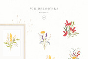 Wildflowers, an Illustration by Blossom (Thumbnail 3 of 9)