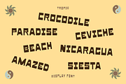 Tropic Display Font, a Sans Serif Font by Studio Alexander (Thumbnail 7 of 7)