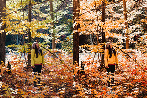 25 Autumnal Photoshop Actions