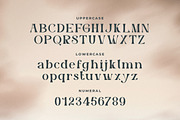 Sandatory - An Elegant Serif, a Serif Font by Typefactoryco (Thumbnail 2 of 8)
