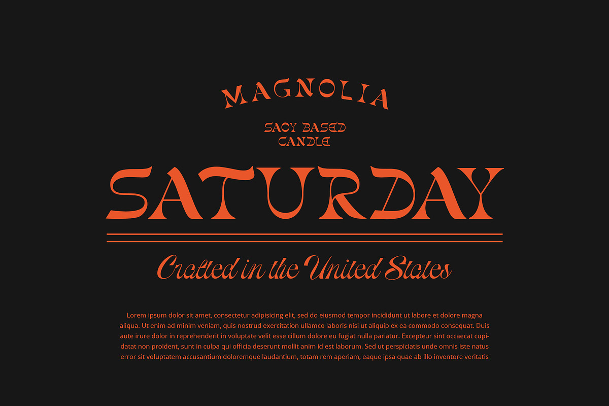 Gunsan Font Duo, a Serif Font by Damelev (Photo 12 of 14)