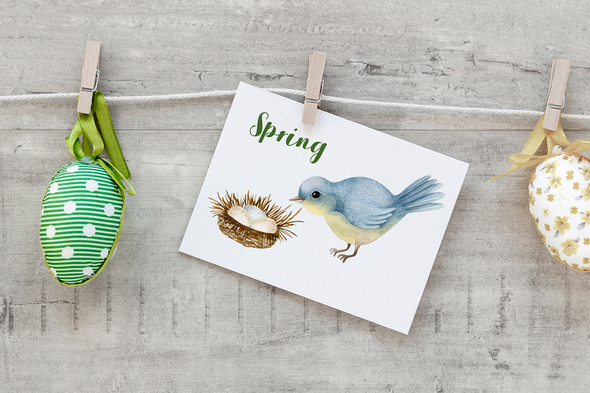 Watercolor Spring Collection., an Animal Illustration by Kira Konoshenko (Photo 5 of 21)