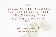 Mending – Stylish Display Serif Font, a Serif Font by BrandSemut (Thumbnail 8 of 10)