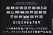 Smart Bold, a Script Font by FreshTypeINK (Thumbnail 2 of 8)