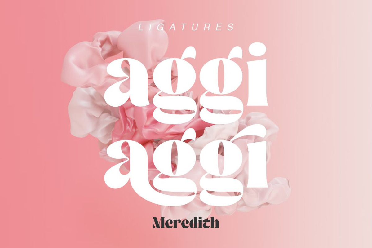 Meredith, a Sans Serif Font by elevencreateam (Photo 4 of 11)