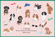 Cavalier King Charles, an Animal Illustration by VianneArt (Thumbnail 2 of 4)