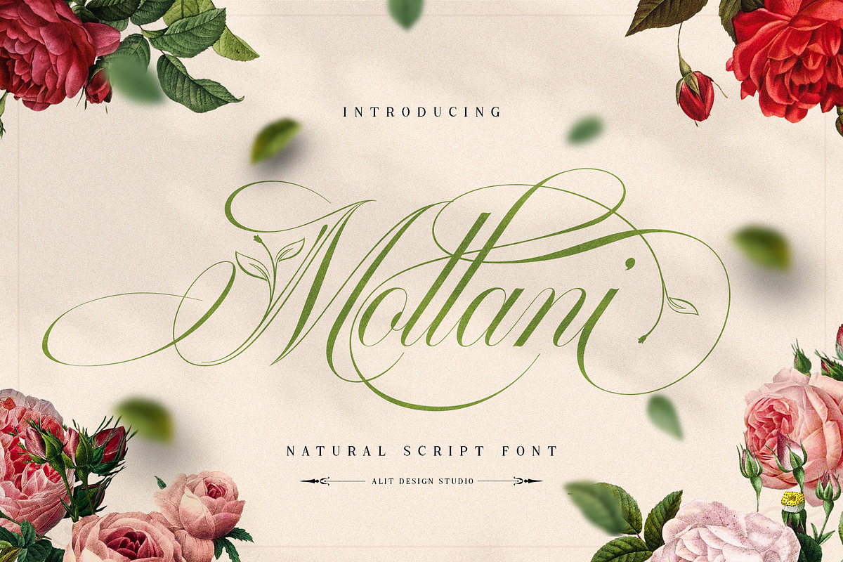 Mollani Nature Script, a Script Font by alit design (Photo 1 of 20)
