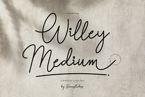 Willey Medium | Monoline Script Font