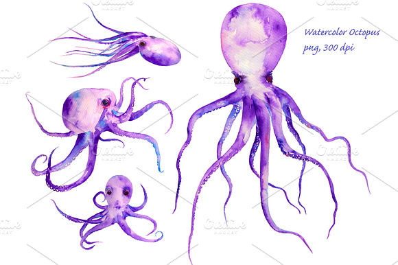 Watercolor Purple Octopus Clipart preview 2