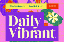 Daily Vibrant Bold Tall Serif