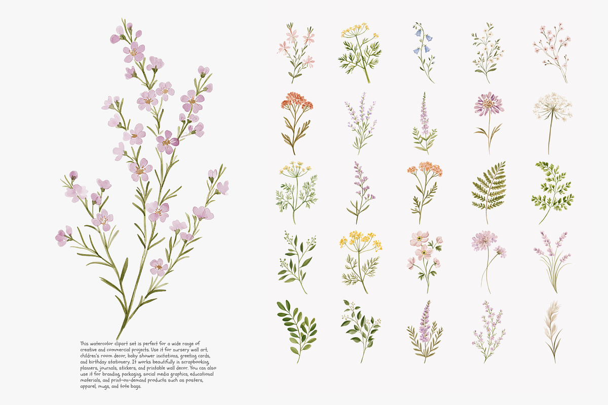 a wildflower meadow clipart set, a Decorative Illustration by Patishop Art (Photo 3 of 12)